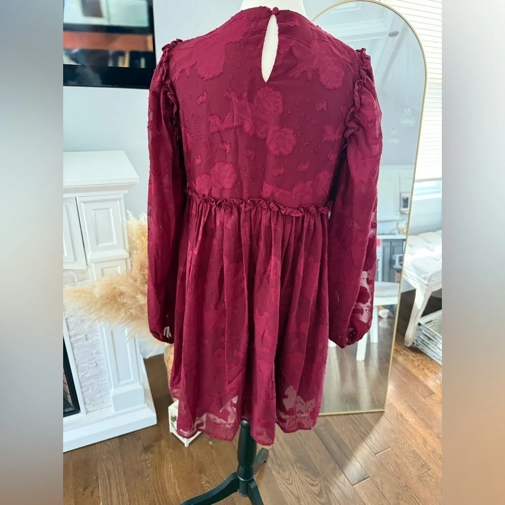 Aura Burgundy  Dress